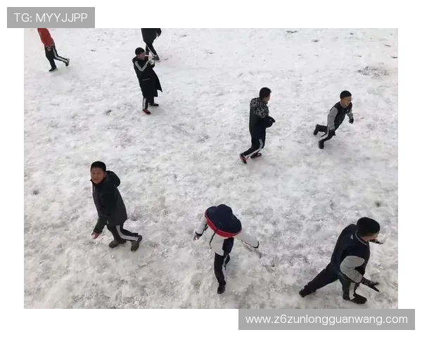 如何安全快速下载Z5体育应用,确保你的体育娱乐体验无忧无虑